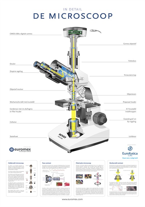 microscopenposter